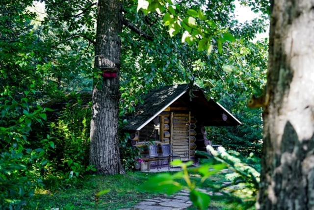 Hope Alaska'S Bear Creek Lodge Εξωτερικό φωτογραφία